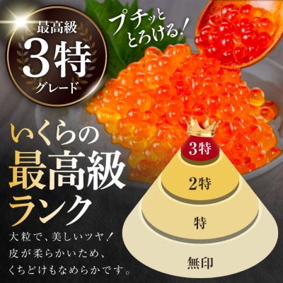 【TVで紹介!】最高級3特 国産 味付 いくら 宝壽 醤油漬 120g×2 20565081