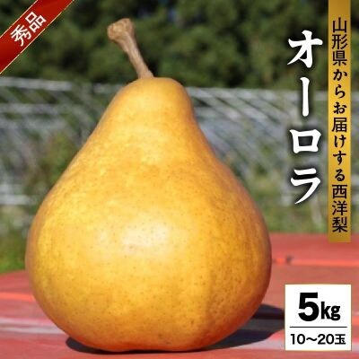 西洋梨(オーロラ)5kg　0011-2603