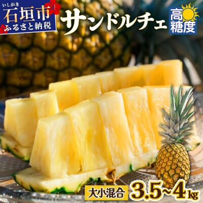 【先行予約】【訳あり】石垣島産 サンドルチェパイン 約3.5～4kg 《2026年7月中旬以降発送》