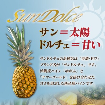 【先行予約】【訳あり】石垣島産 サンドルチェパイン 約3.5～4kg 《2026年7月中旬以降発送》