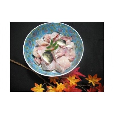 【若男水産】3年とらふぐアラ身500g(約3人前)【数量限定!】