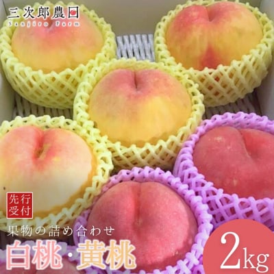 先行受付 白桃・黄桃詰合せ 約2kg(各3玉 計6玉入り) 令和8年度 三次郎農園【013S133】