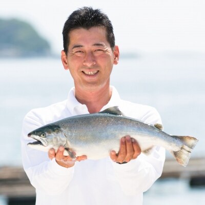 【若男水産】ねぎとろサクラマス(3人前)ねぎとろ丼、手巻き寿司に!【淡路島サクラマス】