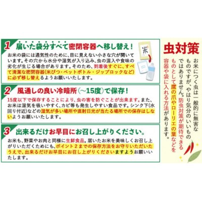 令和7年産 ひのひかり 白米 20kg《7-14日以内に出荷予定(土日祝除く)》