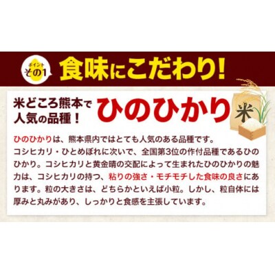 令和7年産 ひのひかり 無洗米 20kg《7-14日以内に出荷予定(土日祝除く)》
