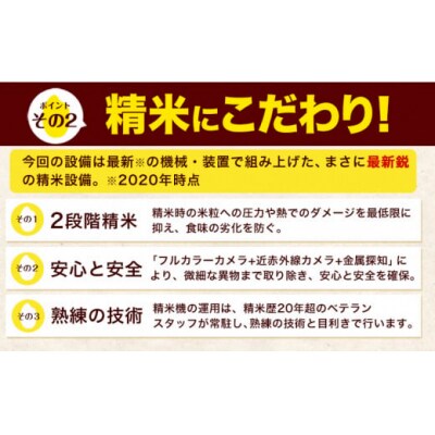 令和7年産 ひのひかり 無洗米 20kg《7-14日以内に出荷予定(土日祝除く)》