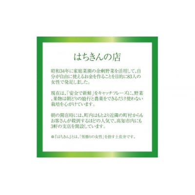 はちきんの店 野菜セット(7~10品) 野菜詰め合わせ  佐川町の野菜 旬の野菜 