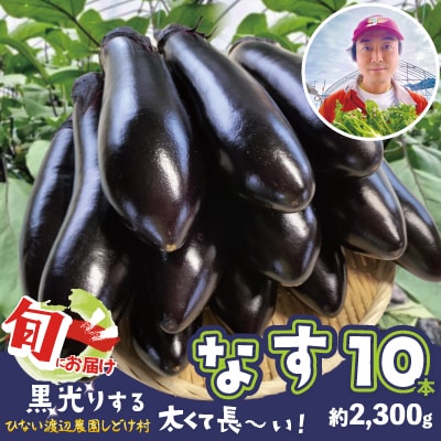 ナス 黒光りする太くて長い!10本