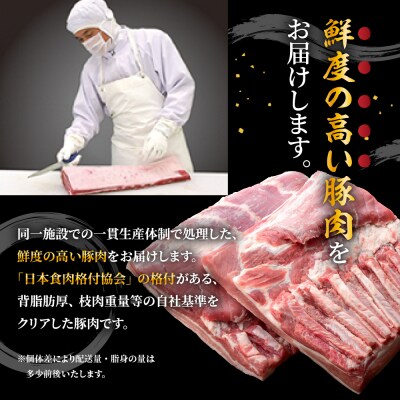 天元豚 豚肉 ブロック肉 ( 豚ロース ) 4kg ( 約2kg×2袋 ) 