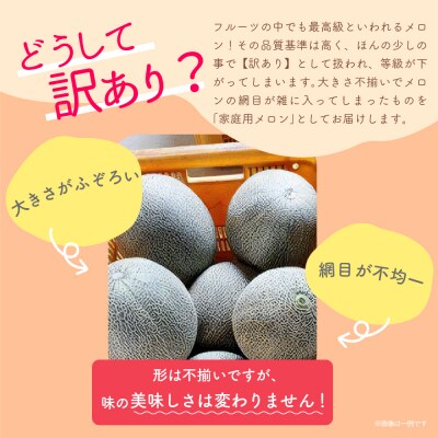 【2026年7月後半発送】【訳あり】メロン 約7.5kg 青森産 緑肉 4～8玉