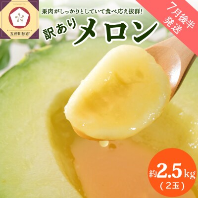 【2026年7月後半発送】【訳あり】メロン 約2.5kg 青肉 2玉 青森産