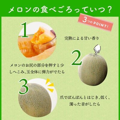【2026年7月後半発送】【訳あり】メロン 約2.5kg 青肉 2玉 青森産
