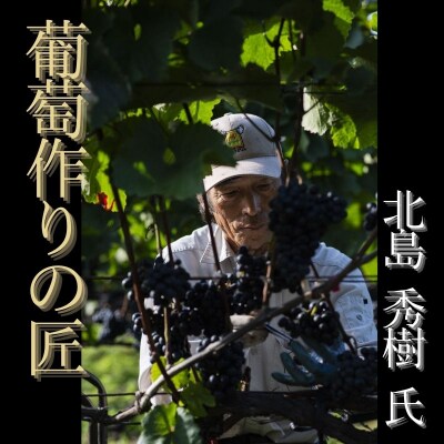 余市 葡萄作りの匠「北島秀樹」&「田崎正伸」ミュラートゥルガウ飲み比べセット_Y034-0091