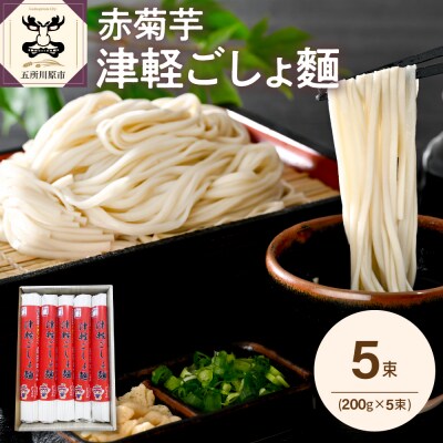 うどん 乾麺 200g×5束 2人前×5 赤菊芋 青森 五所川原【 菊芋うどん きくいも 10人前】