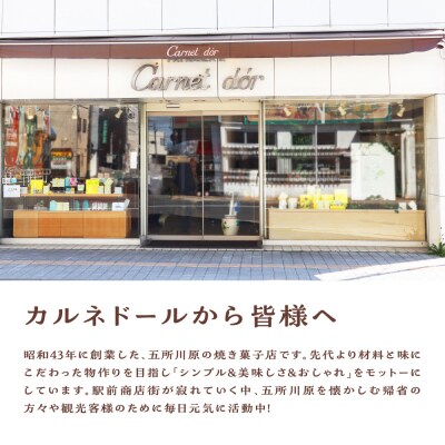 洋菓子店自慢のお手製 アイス 詰め合わせ 100ml×8個入 全6種