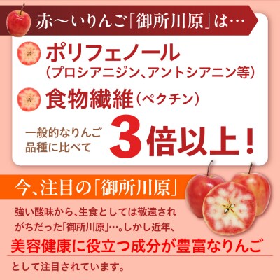 AKARIN5プロテオグリカンサプリメント 45粒 15日分 りんご サプリ プロテオグリカン