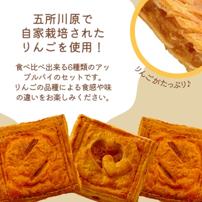 アップルパイ 6種 食べ比べ セット 青森 りんご 個包装 