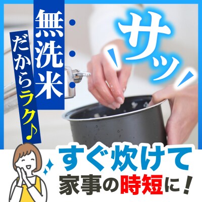 【6月後半発送】 令和7年産 無洗米 5kg はれわたり 5キロ 青森県産 特A受賞歴