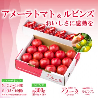 アメーラ&ルビンズ5P