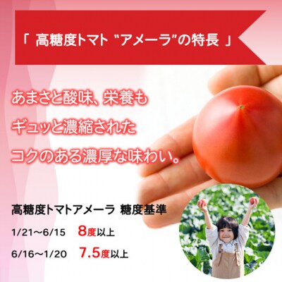 アメーラ&ルビンズ5P