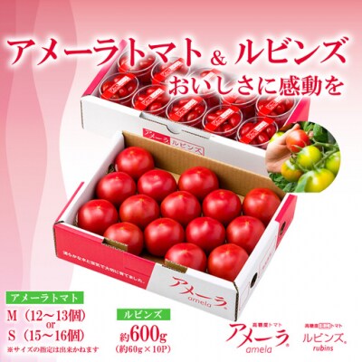 アメーラ&ルビンズ10P