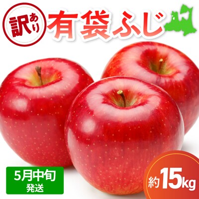 【2026年5月中旬発送】【訳あり】りんご15kg有袋ふじ スマフレTM貯蔵またはCA貯蔵・クール便