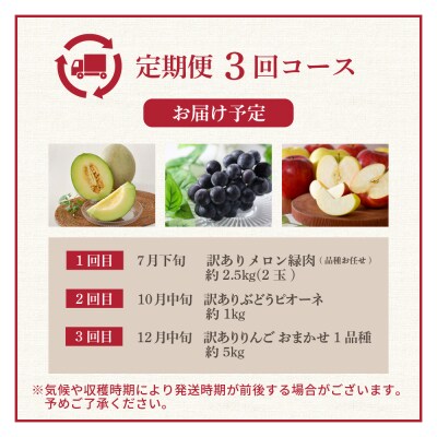 【7月発送開始】おいしい3種類 ☆ フルーツ定期便 3回【訳あり】メロン ぶどう りんご