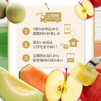 【7月発送開始】おいしい3種類 ☆ フルーツ定期便 3回【訳あり】メロン食べ比べセット