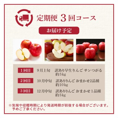 【9月発送開始】 フルーツ定期便 3回 【訳あり】 りんごづくしセット