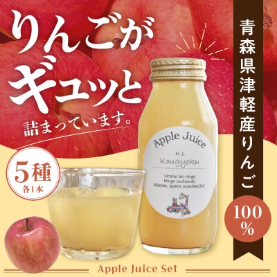 りんごジュース 詰め合わせ 180ml×5種 飲み比べ セット 100% ストレート 5本 ふじ 他