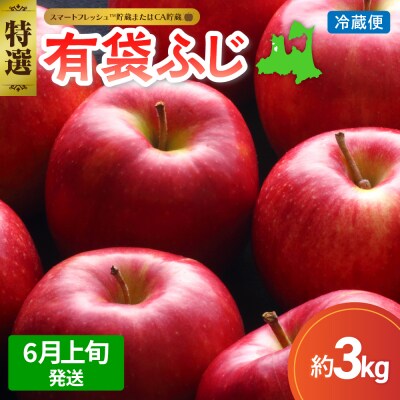 【2026年6月上旬発送】りんご有袋ふじ3kg特選 スマートフレッシュ貯蔵またはCA貯蔵・クール便