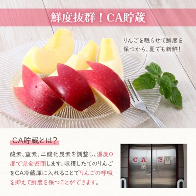 【2026年7月上旬発送】りんご有袋ふじ3kg特選 スマートフレッシュ貯蔵またはCA貯蔵・クール便