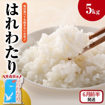 【2026年6月前半発送】米 5kg はれわたり (白米) 5キロ 青森県 五所川原市