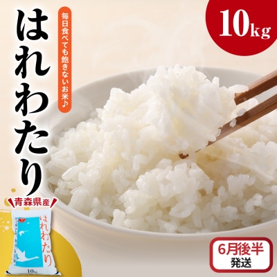 【2026年6月後半発送】米 はれわたり10kg(白米) 10キロ 青森県 五所川原市