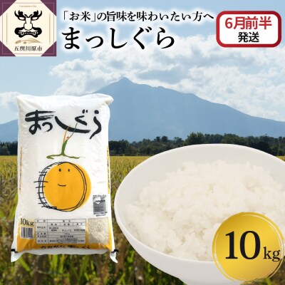 【2026年6月前半発送】まっしぐら10kg(白米)