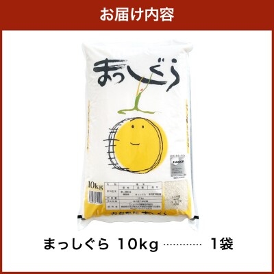 【2026年6月前半発送】まっしぐら10kg(白米)