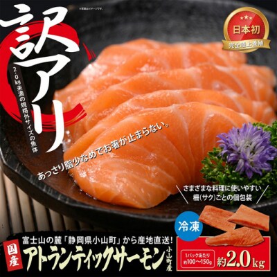 【訳アリ】小山町産 アトランティックサーモン 約2kg(柵)魚体2.0kg未満