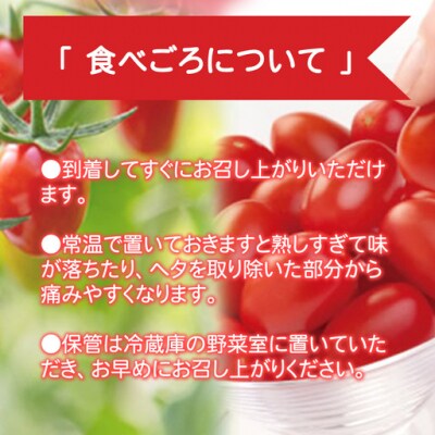 アメーラルビンズ&ルビンズゴールド 5パック入り