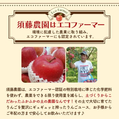 須藤農園 りんごジュース 100% ストレート 1L×3本 青森 森の雫
