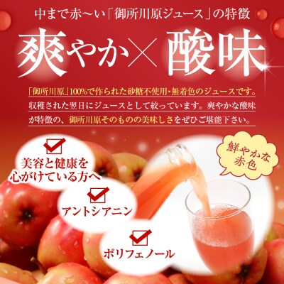 中まで赤～いりんごジュース6本入 各180ml