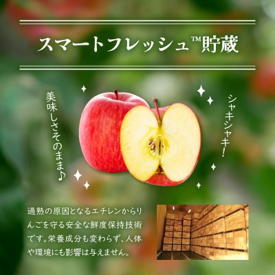 【6月中旬発送】特撰丸かじりりんご約3kg 品種おまかせ1種(スマートスレッシュまたはCA貯蔵)