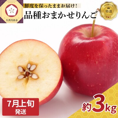 【7月上旬発送】特撰丸かじりりんご約3kg 品種おまかせ1種(スマートスレッシュまたはCA貯蔵)