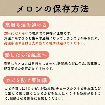 【2026年先行受付】【8月前半発送】 メロン3玉入り 訳あり 約4kg 青肉 中玉 青森県産
