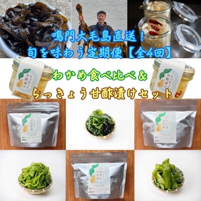 鳴門大毛島直送!【全4回定期便(1月/3月/5月/7月)】鳴門わかめ食べ比べ、らっきょう甘酢漬けセッ