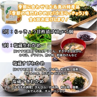 鳴門大毛島直送!【全4回定期便(1月/3月/5月/7月)】鳴門わかめ食べ比べ、らっきょう甘酢漬けセッ