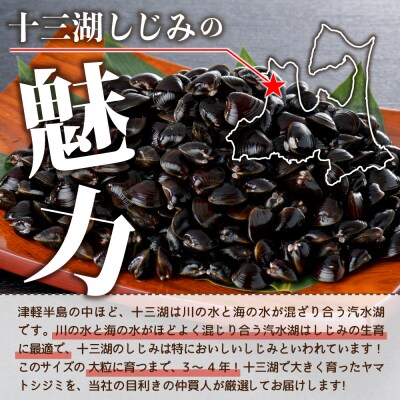 津軽十三湖産 大粒しじみ1.6kg (冷凍・砂抜き済)