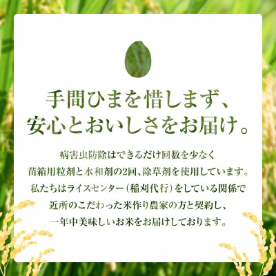 【令和7年産】 熊本県八代市産 森のくまさん 5kg×2袋_001-4322-E