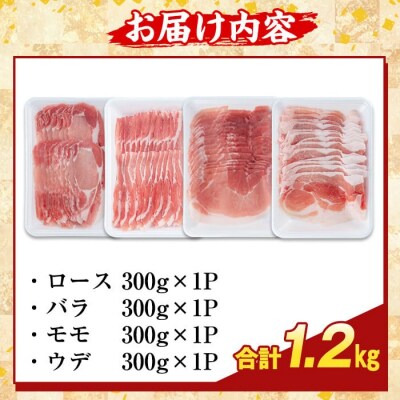 かごしま味わい黒豚スライスバラエティパック(合計1.2kg )【ふるさと産直バザール】K-364-A