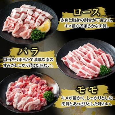 かごしま味わい黒豚 さつま焼肉コース(合計1.8kg)【ふるさと産直バザール】K-367-B
