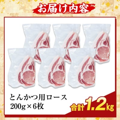 かごしま味わい黒豚とんかつ用ロース肉・トロかつ(計1.2kg)【ふるさと産直バザール】K-373-B